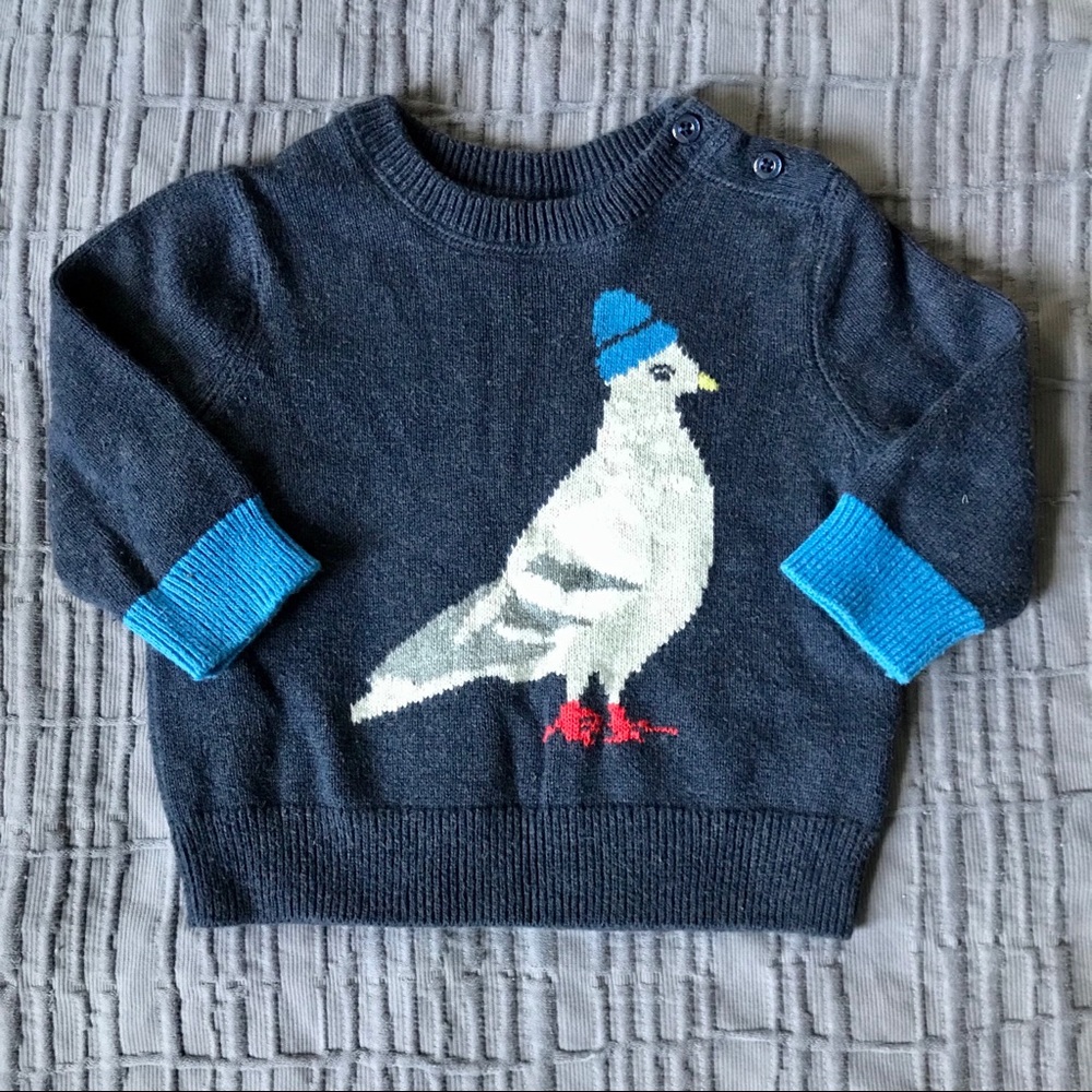 Gap Baby Boy Pigeon Sweater